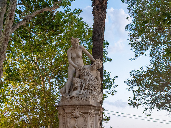 DSC02429